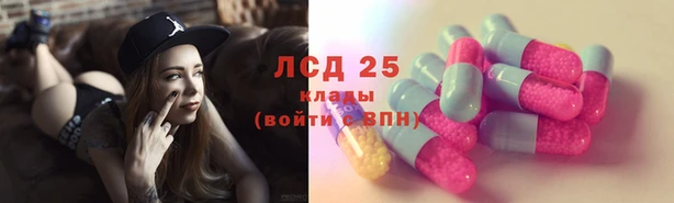 гидропоника Иннополис