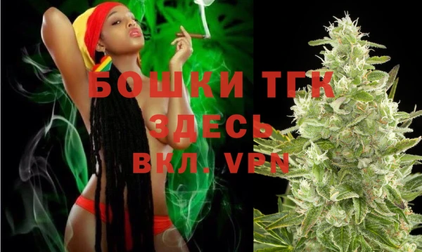 трава Инта