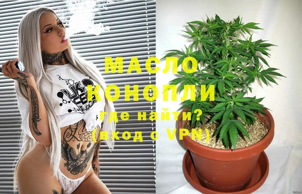 трава Инта